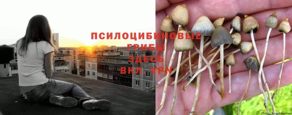 героин Кукмор