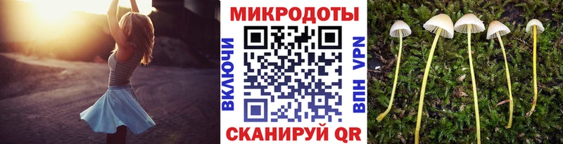 Псилоцибиновые грибы GOLDEN TEACHER  Купить  Артёмовск 