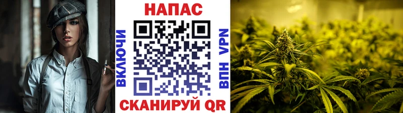 Конопля планчик  Купить закладки  Артёмовск 